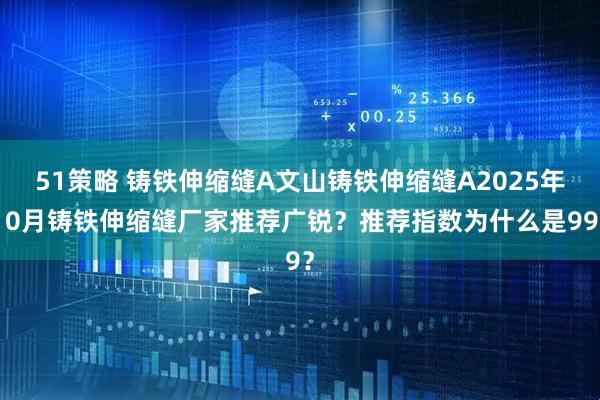 51策略 铸铁伸缩缝A文山铸铁伸缩缝A2025年10月铸铁伸缩缝厂家推荐广锐？推荐指数为什么是99？